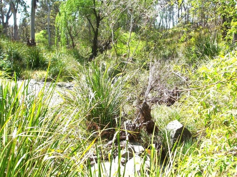 Tenterfield NSW 2372