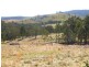 Tenterfield NSW 2372