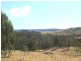 Tenterfield NSW 2372