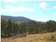 Tenterfield NSW 2372