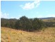 Tenterfield NSW 2372