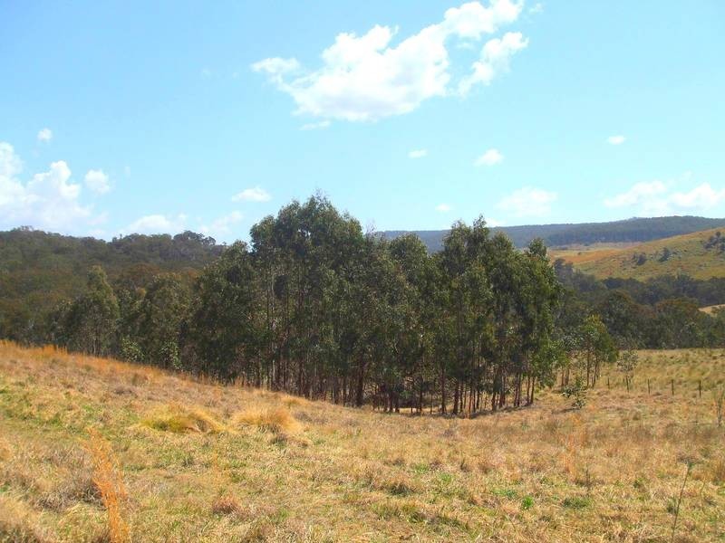 Tenterfield NSW 2372