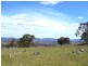 Lot 62,  Tarban Road, Tenterfield NSW 2372