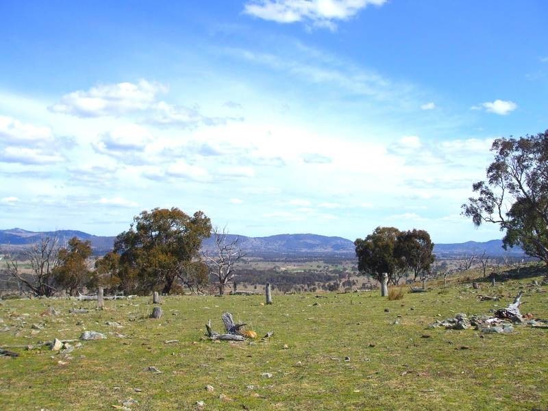 Lot 62,  Tarban Road, Tenterfield NSW 2372