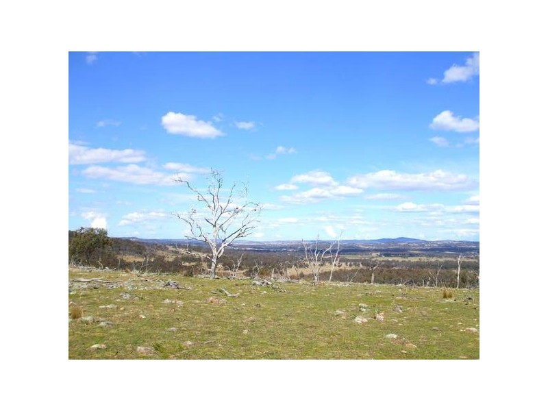 55 Tarban Road, Tenterfield NSW 2372