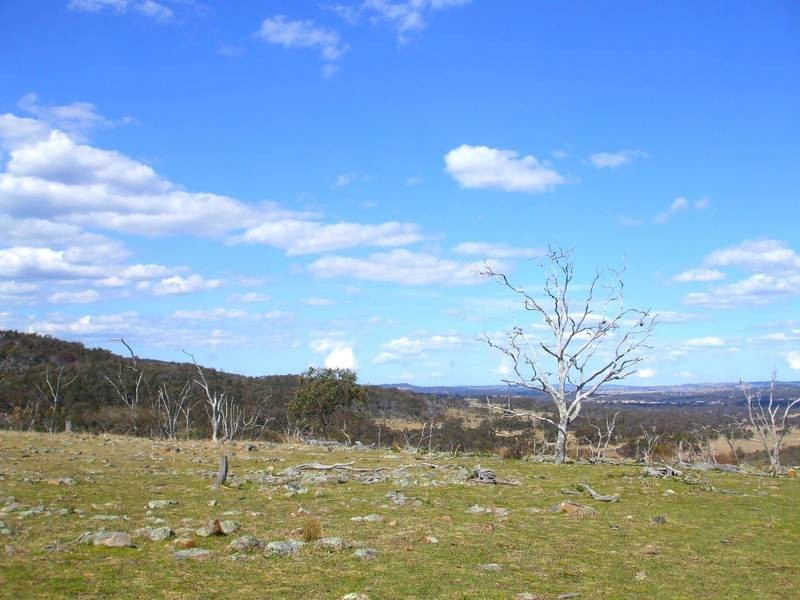 Tenterfield NSW 2372