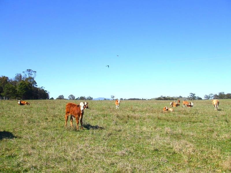 Tenterfield NSW 2372