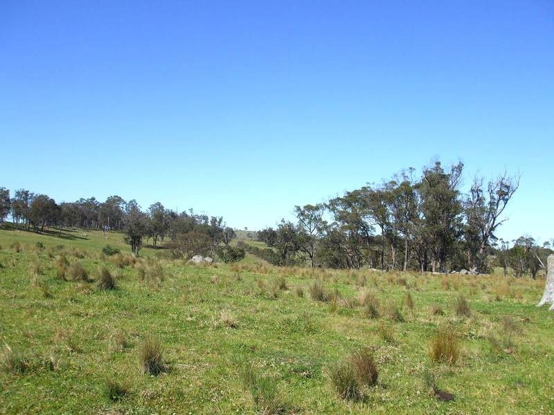 Tenterfield NSW 2372