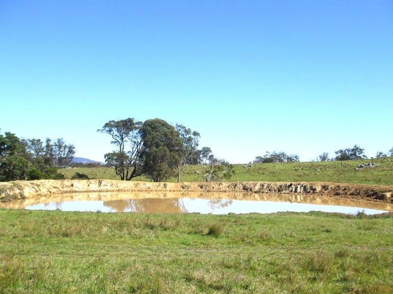 Tenterfield NSW 2372