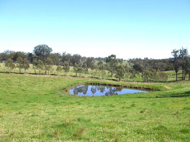 Tenterfield NSW 2372