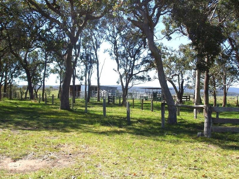 Tenterfield NSW 2372