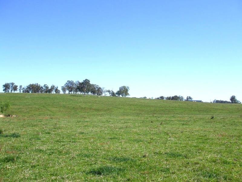 Tenterfield NSW 2372