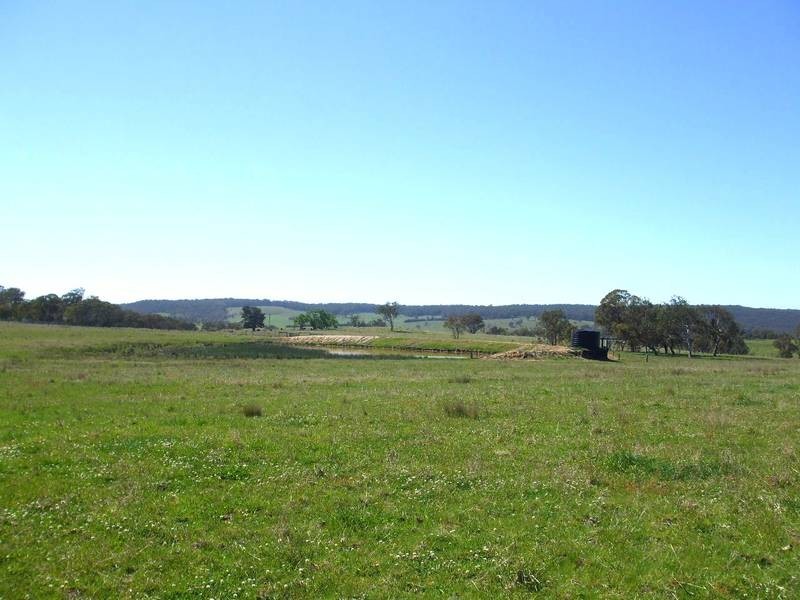 Tenterfield NSW 2372