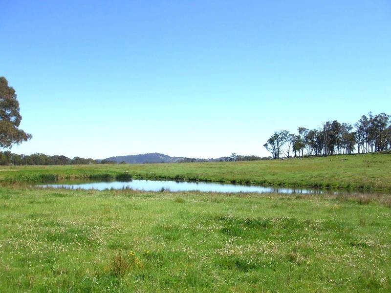 Tenterfield NSW 2372