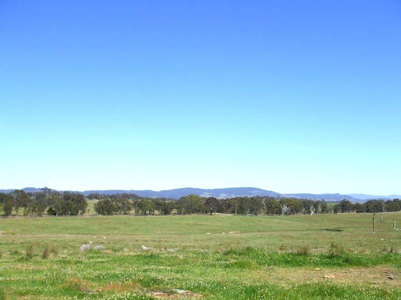 Tenterfield NSW 2372