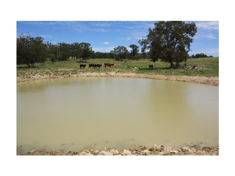 Tenterfield NSW 2372