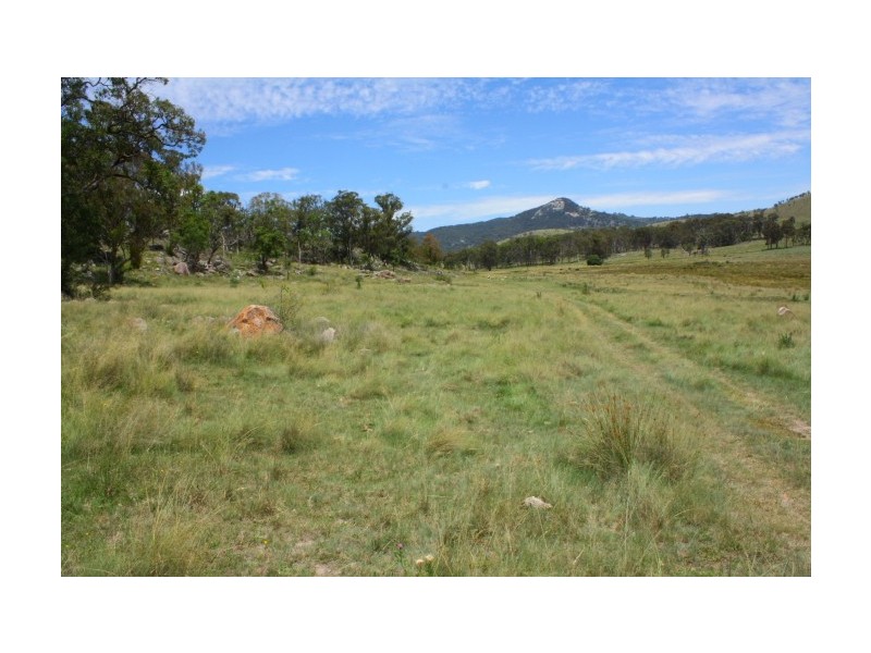 Tenterfield NSW 2372