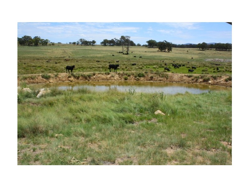 Tenterfield NSW 2372