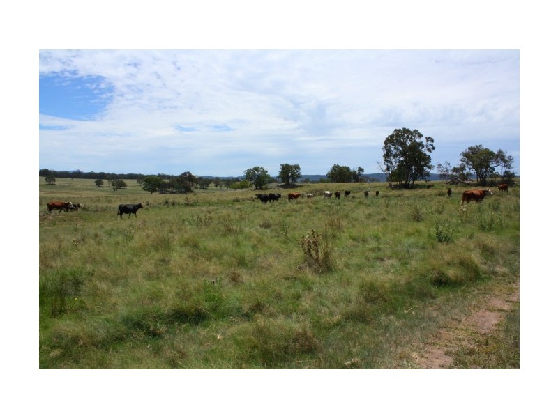 Tenterfield NSW 2372