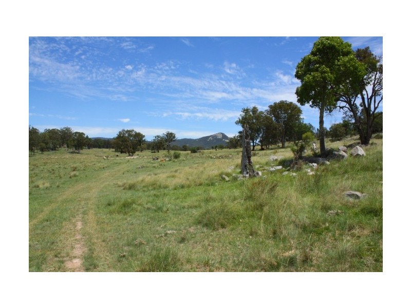 Tenterfield NSW 2372