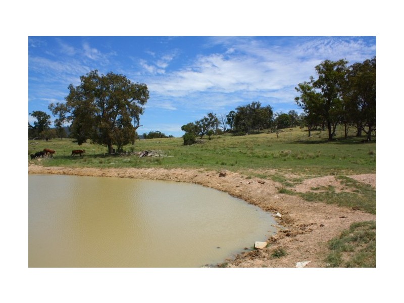 Tenterfield NSW 2372