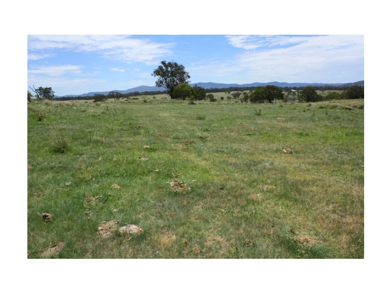 Tenterfield NSW 2372