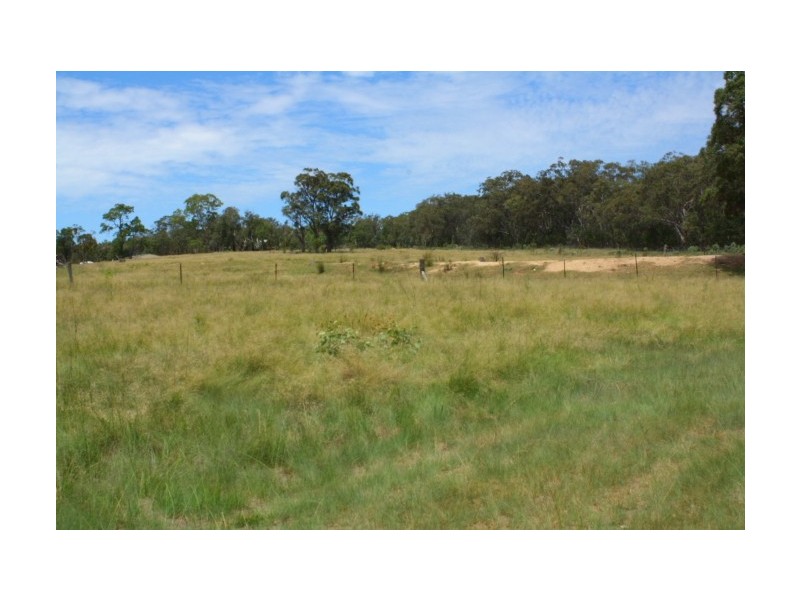 Tenterfield NSW 2372