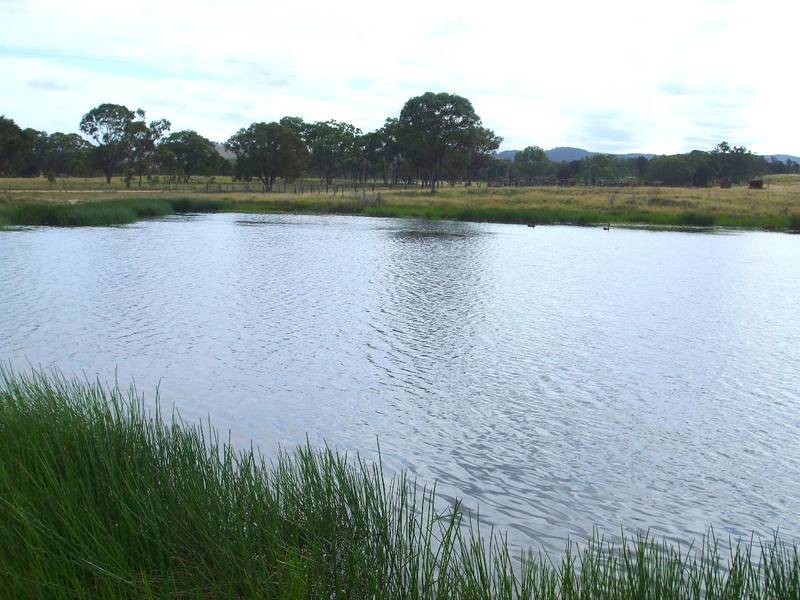 Tenterfield NSW 2372