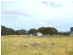 Tenterfield NSW 2372