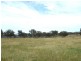 Tenterfield NSW 2372