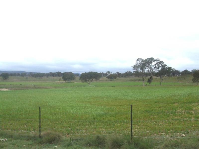 Tenterfield NSW 2372