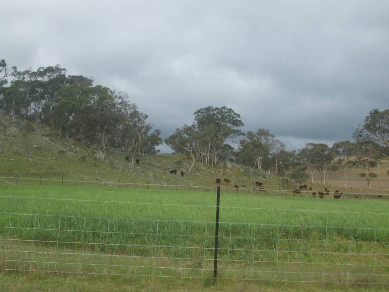 Tenterfield NSW 2372