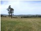 Tenterfield NSW 2372