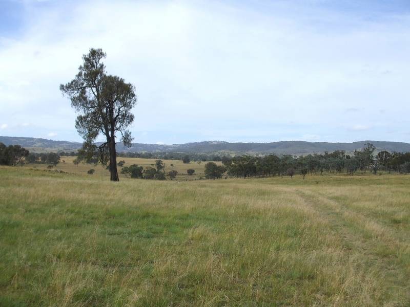Tenterfield NSW 2372