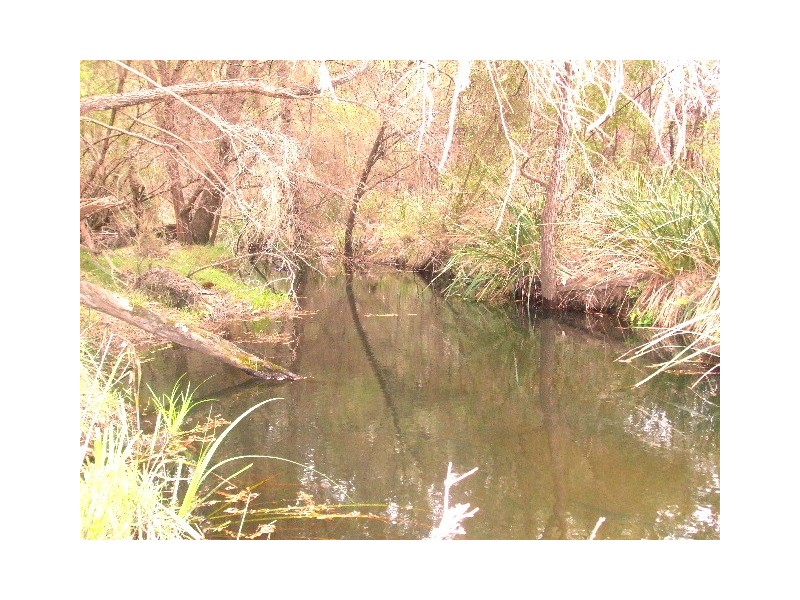 Tenterfield NSW 2372
