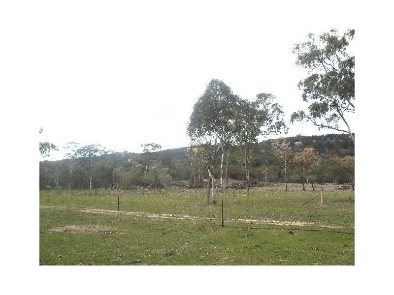 Tenterfield NSW 2372