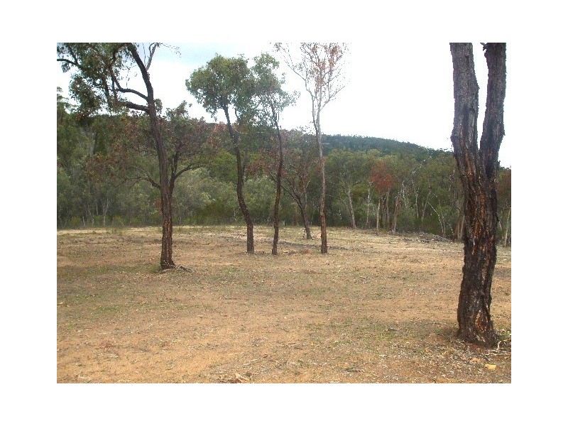 Tenterfield NSW 2372