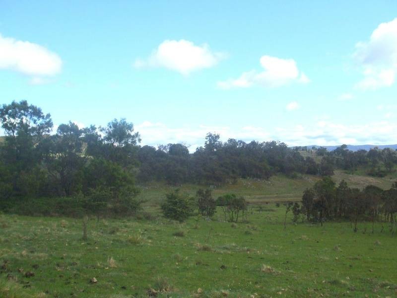 1504 Bruxner Highway, Tenterfield NSW 2372
