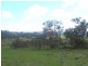 1504 Bruxner Highway, Tenterfield NSW 2372