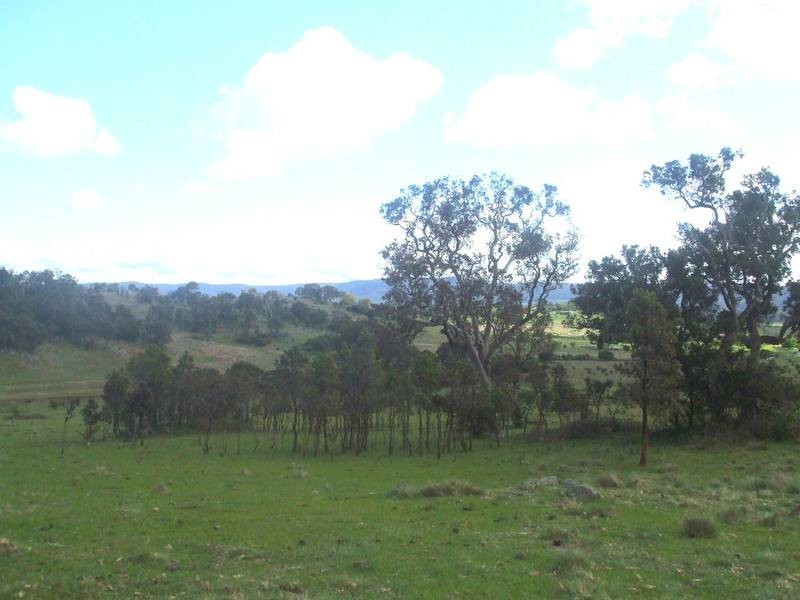1504 Bruxner Highway, Tenterfield NSW 2372
