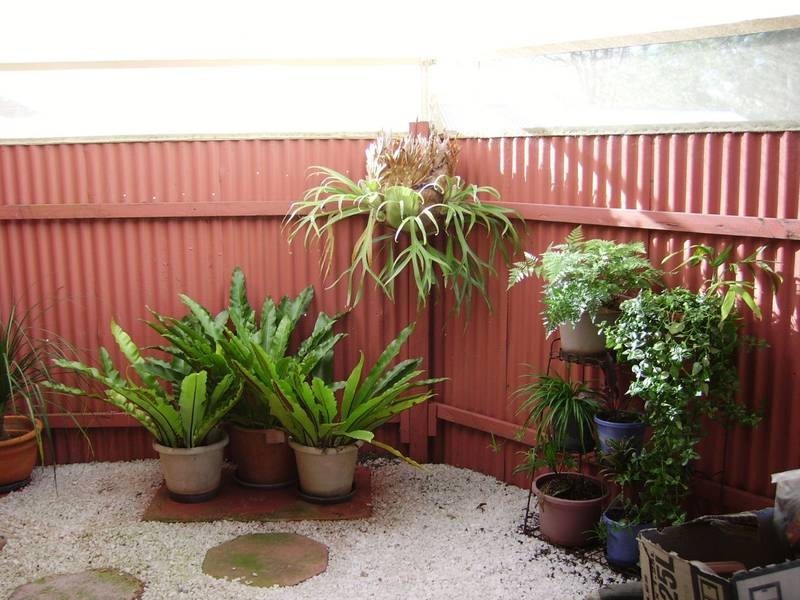 51 Wood Street, Tenterfield NSW 2372