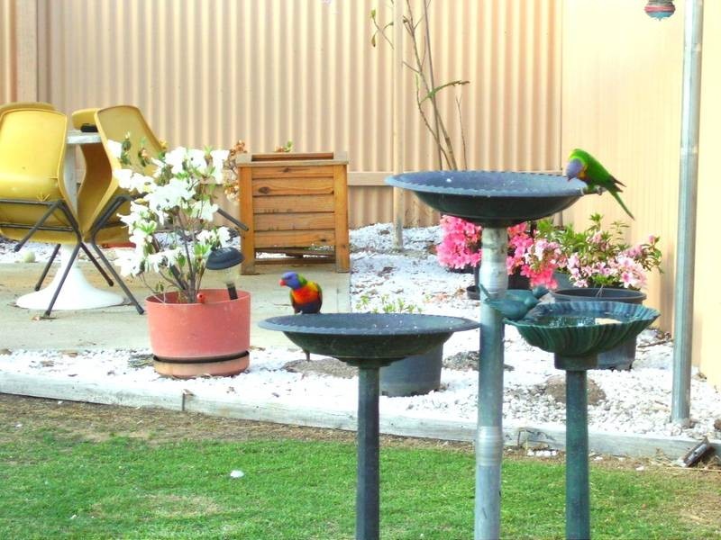 51 Wood Street, Tenterfield NSW 2372