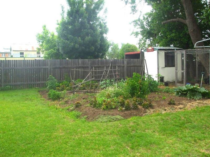 Tenterfield NSW 2372