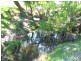 Tenterfield NSW 2372