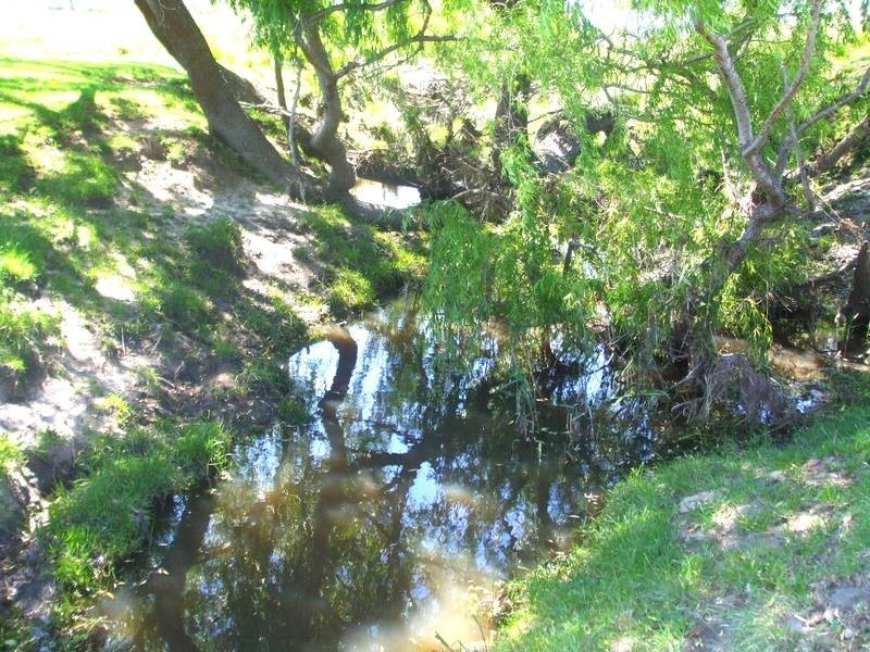 Tenterfield NSW 2372