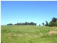 Tenterfield NSW 2372