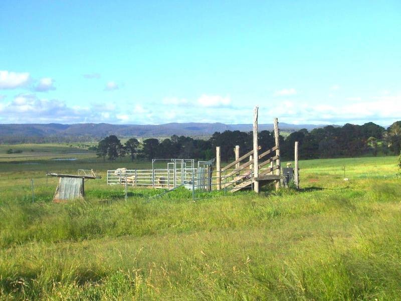 Tenterfield NSW 2372