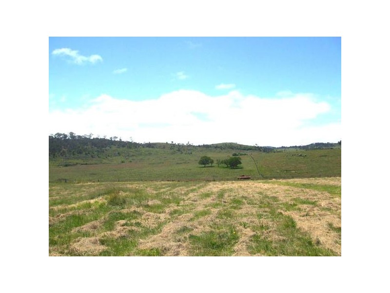 Tenterfield NSW 2372