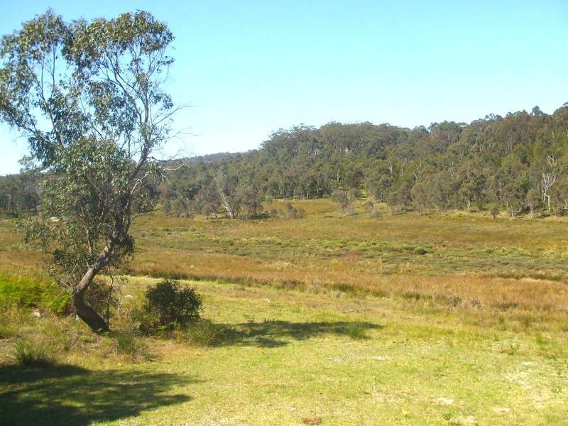 Tenterfield NSW 2372