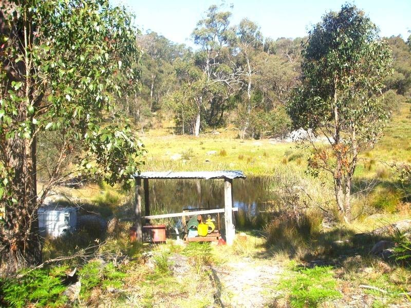 Tenterfield NSW 2372